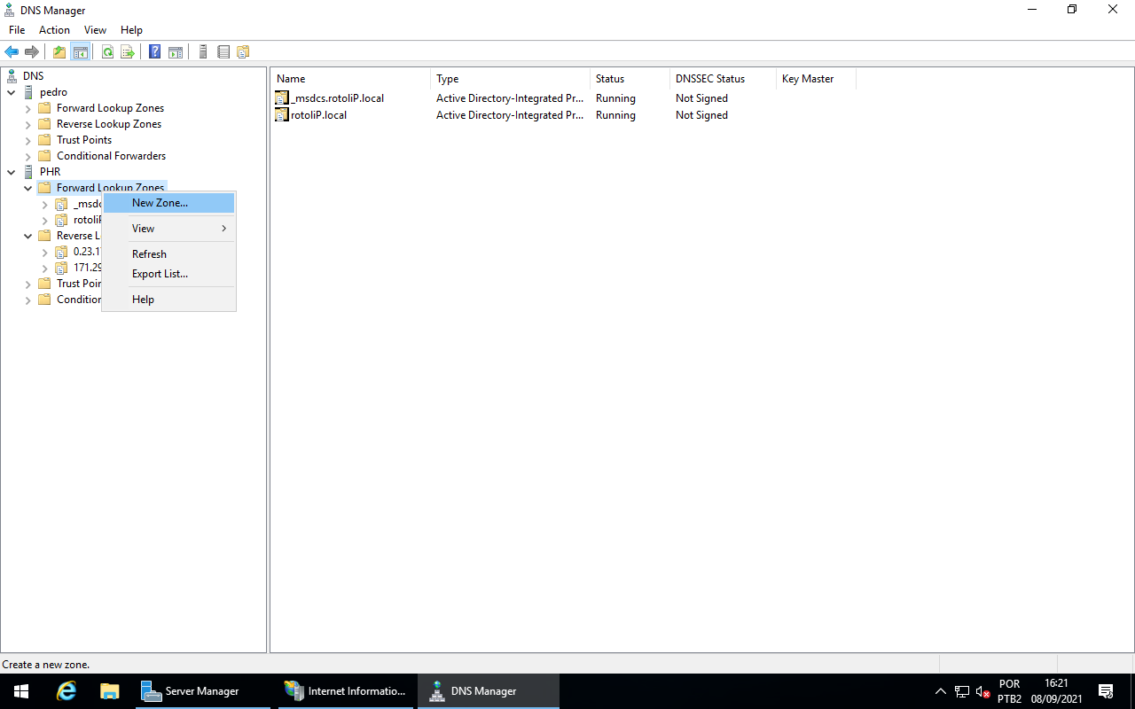 Forward Lookup Zones - New Zone