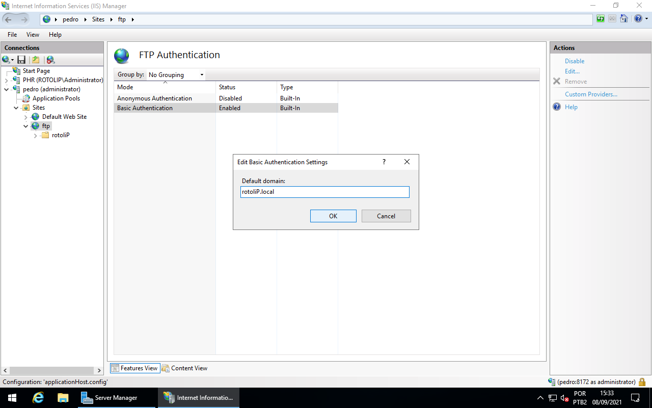 Basic Authentication - Default domain