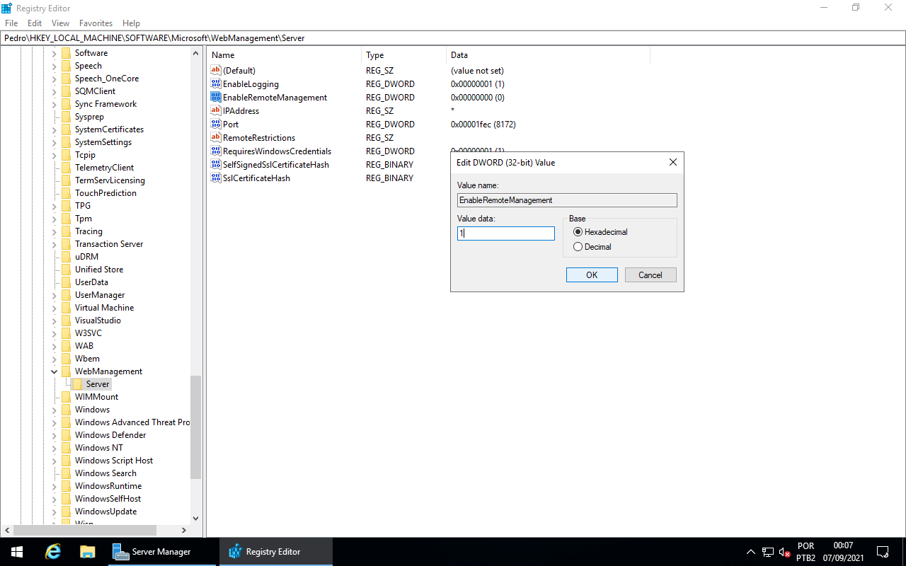 Registry Editor - Web Management