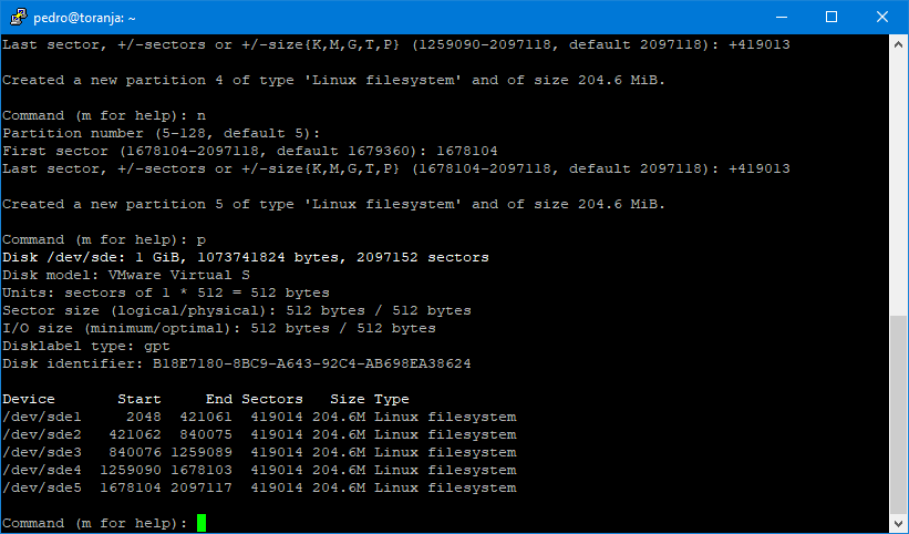 fdisk - partitions created