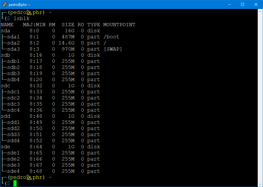 Quatro discos particionados