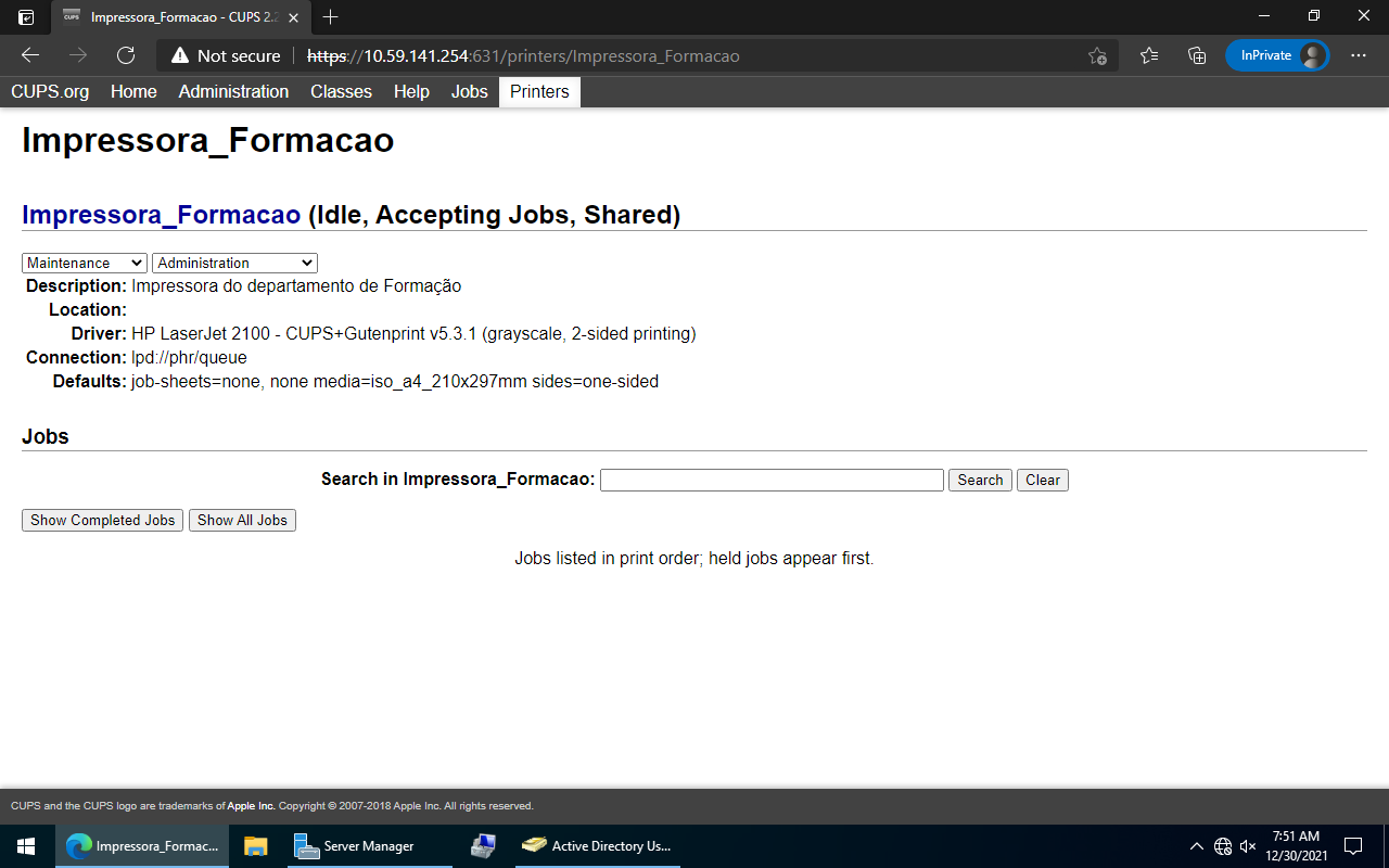Página de configuração da impressora