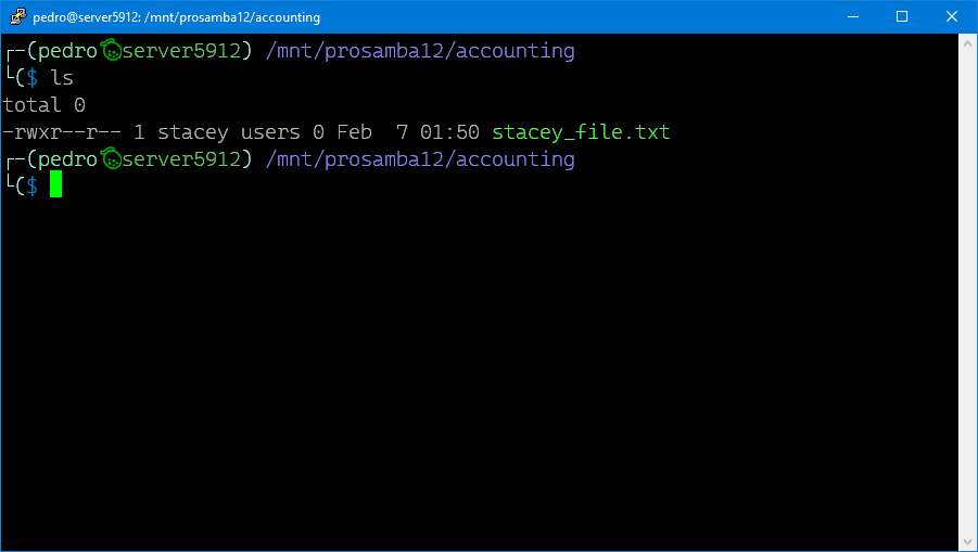 Accounting Server-side