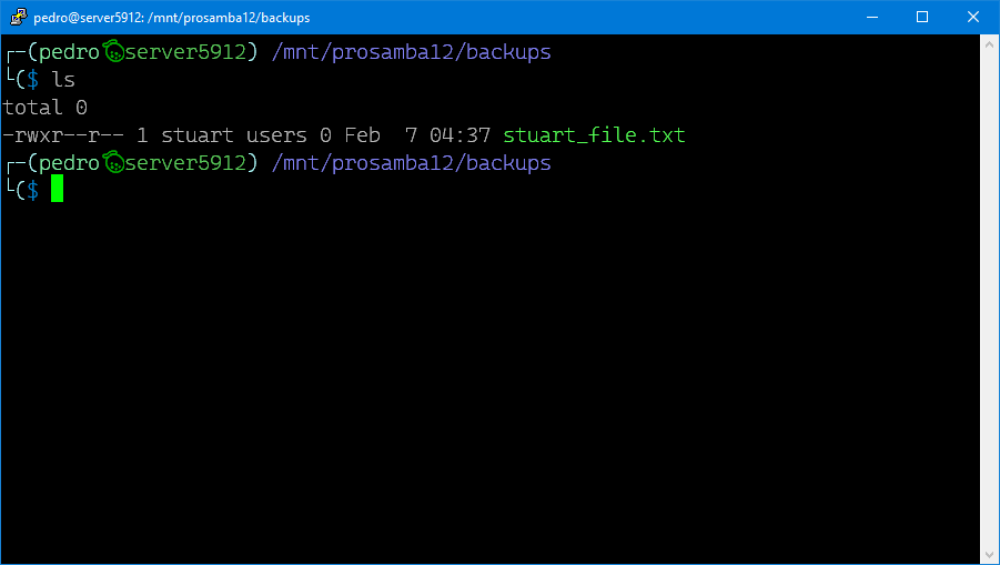 Stuart backup Server-side