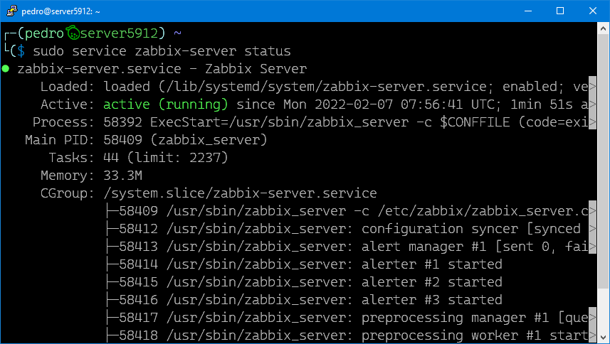 zabbix-server active