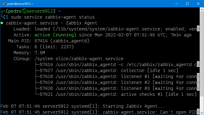 zabbix-agent active