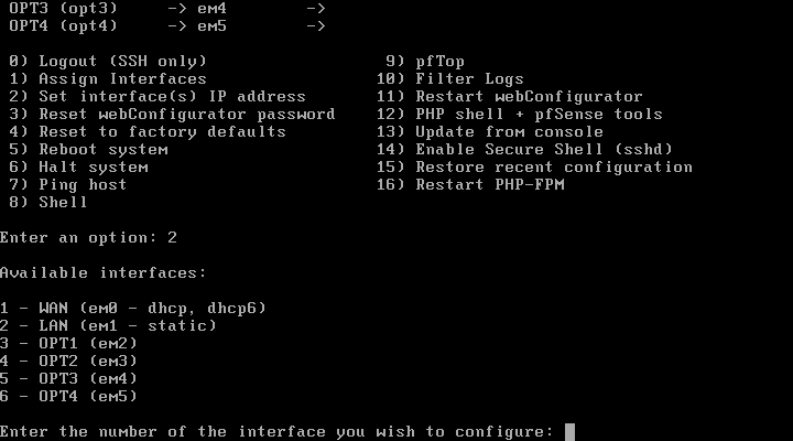 Escolha a interface a definir o IP