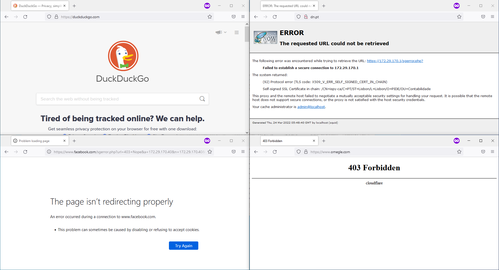 Websites Funcionais e Bloqueados