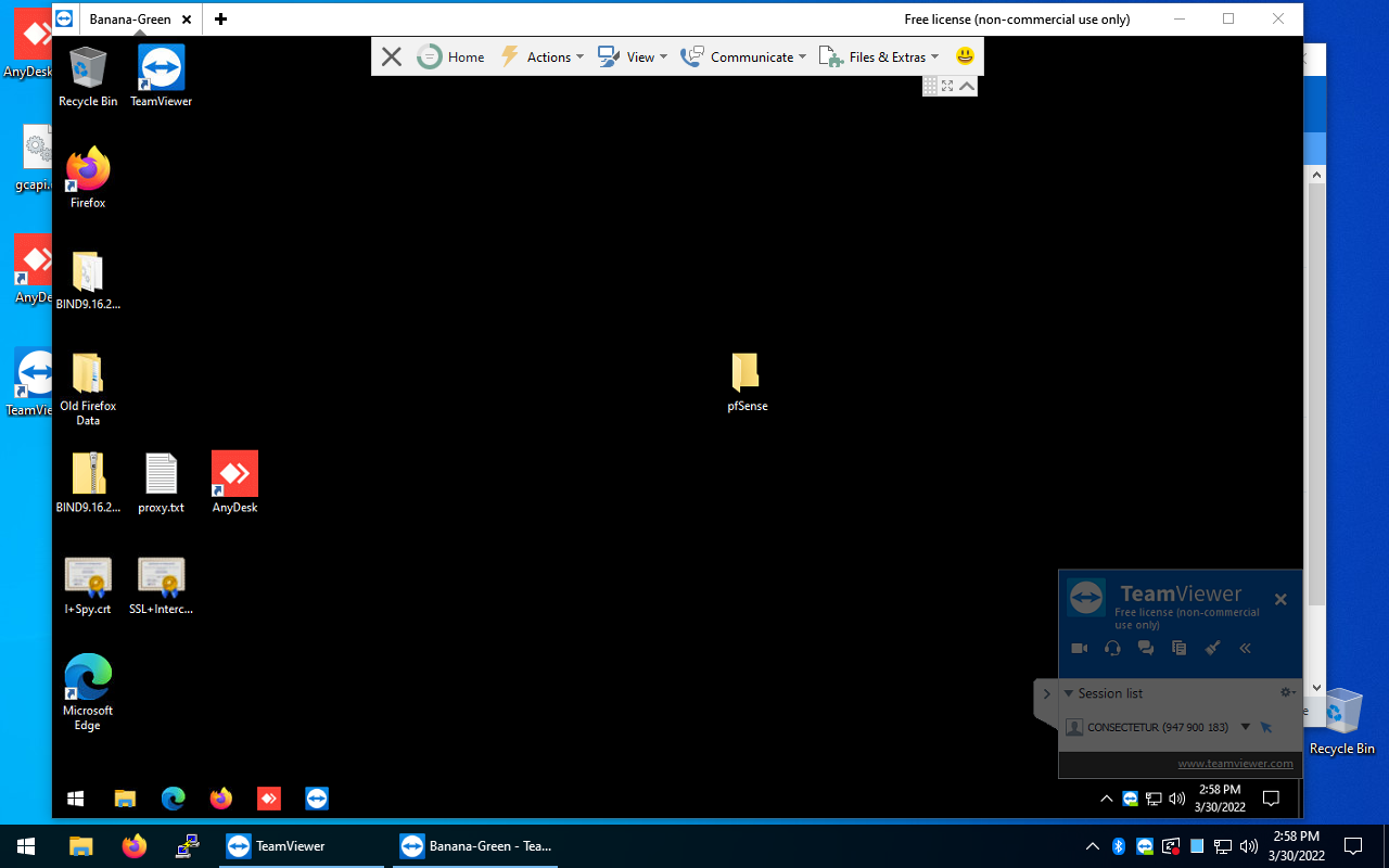 TeamViewer Funcionando