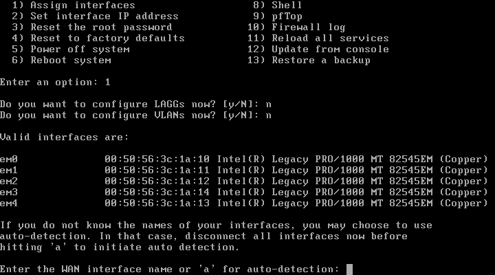 Selecionar Interface WAN
