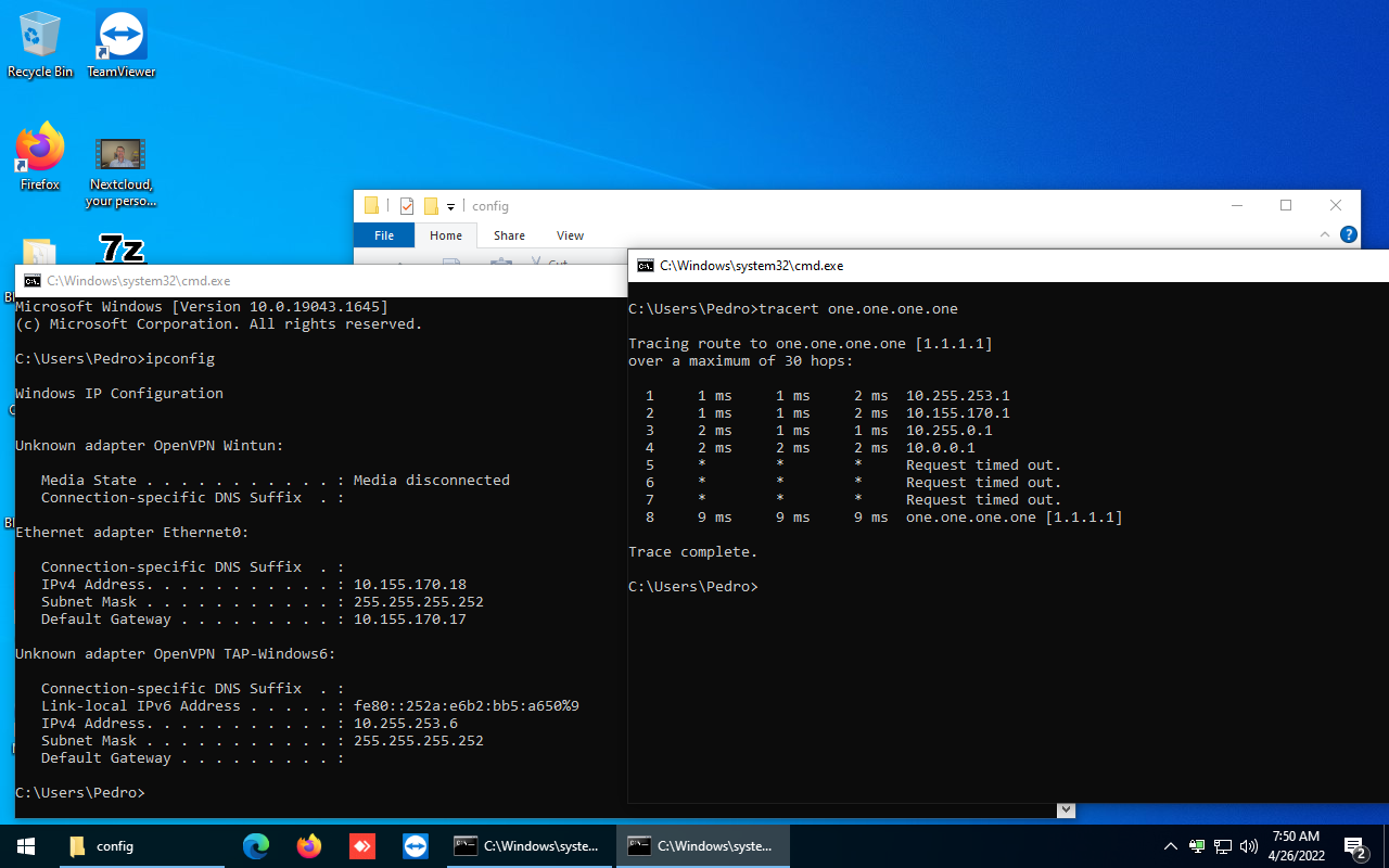 Cliente acessando a internet através do firewall OPNsense utilizando o túnel OpenVPN