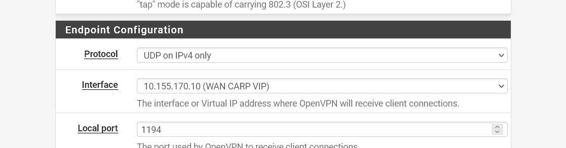 OpenVPN Server - Endpoint Configuration - Interface