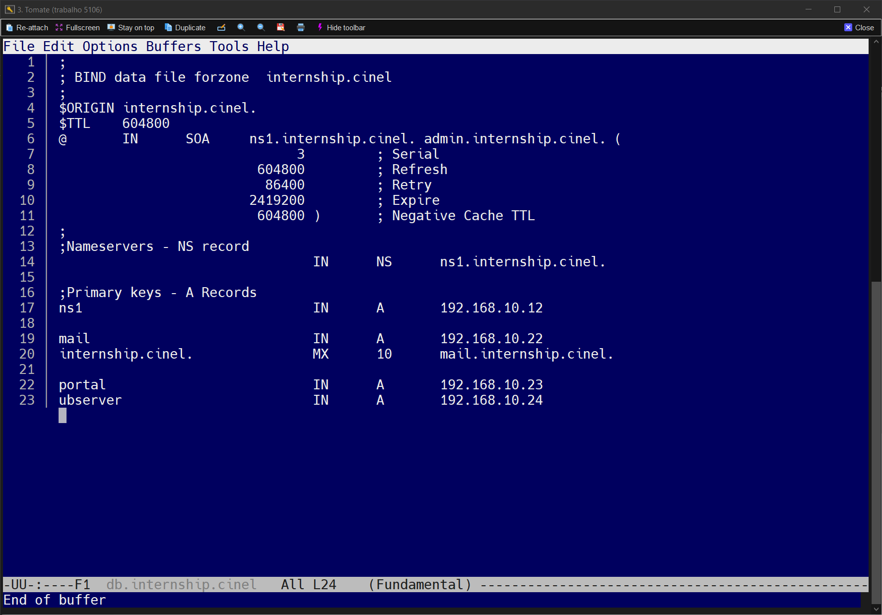 Zona internship.cinel