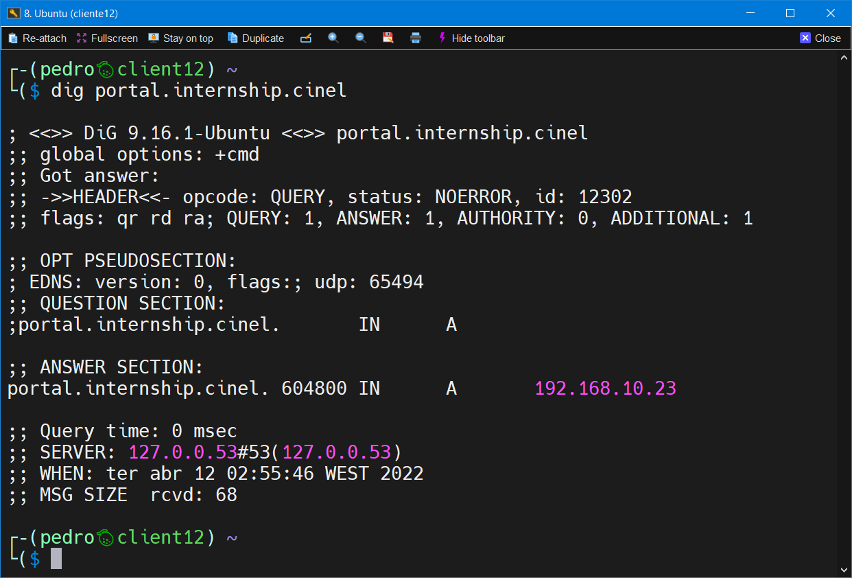 Dig ao endereço portal.internship.cinel