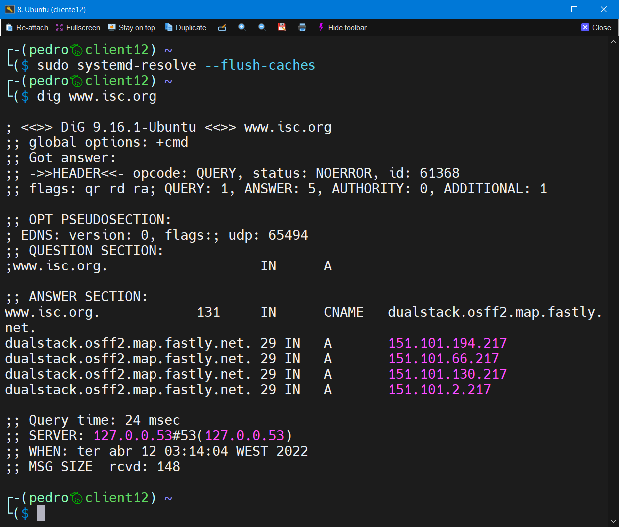 Dig com o cache interno do cliente vazio