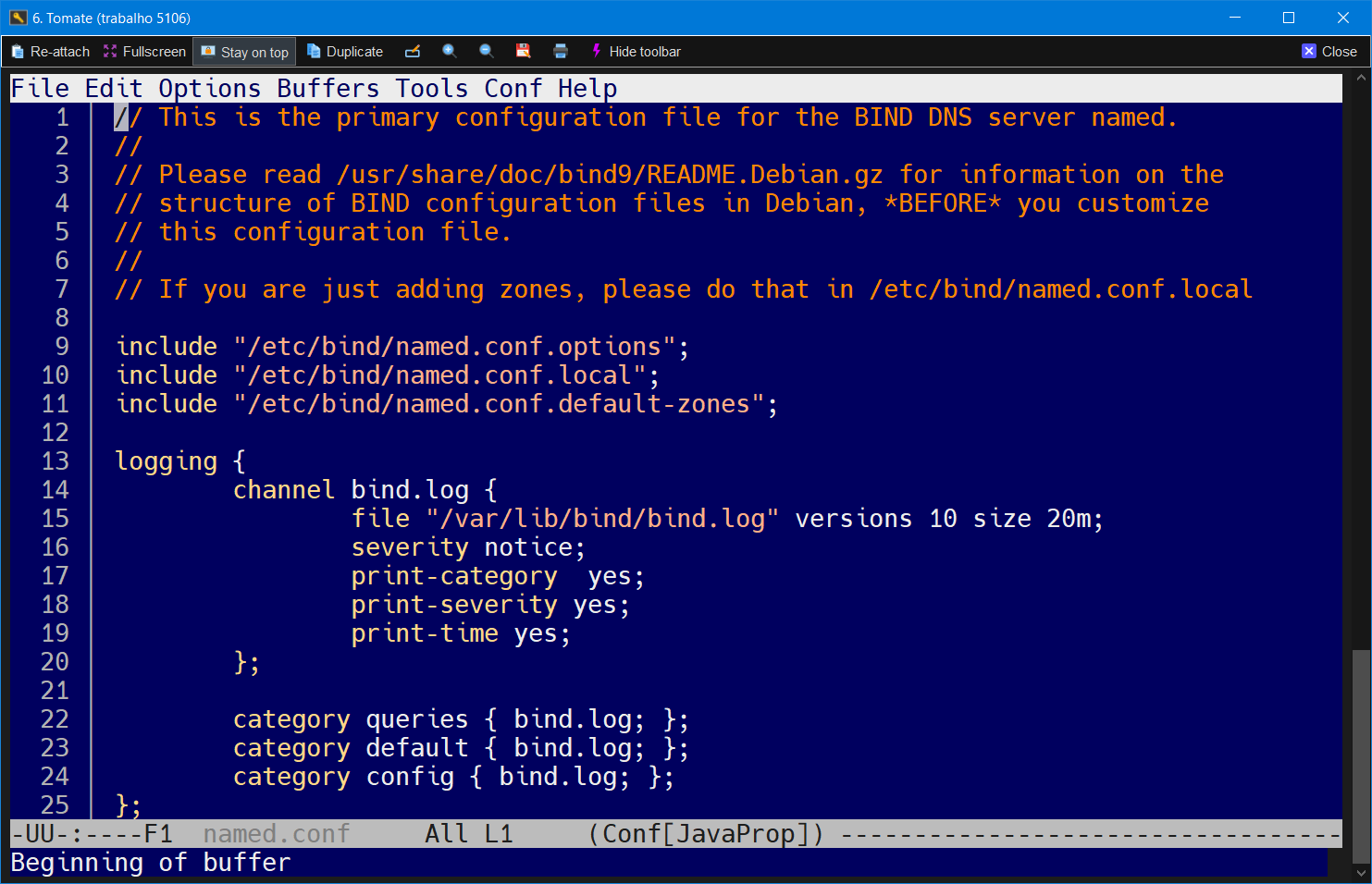 Ativar logging para o BIND 9