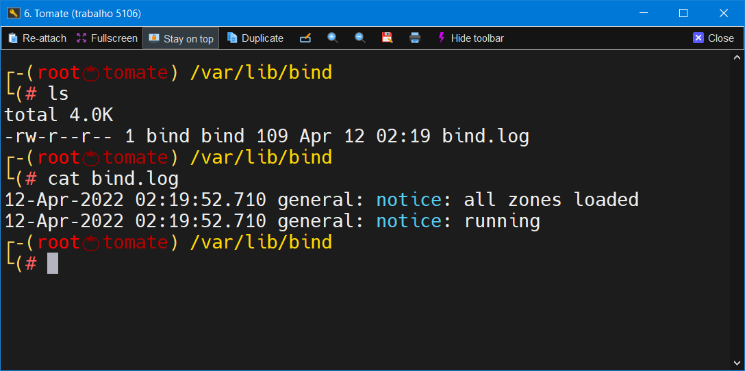 Log criado pelo BIND 9
